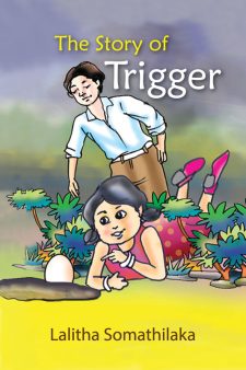 STORY OF TRIGGER