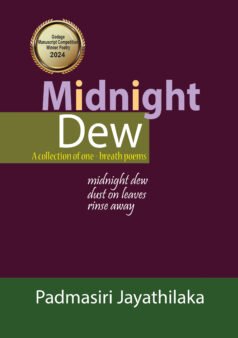 Midnight Dew