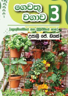 ගෙවතු වගාව -03