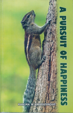 A Pursuit of Hapiiness
