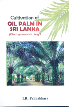 Cultivation of Oil Palam in Sri Lanka