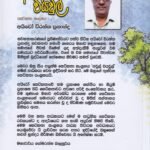 අවුල් වියවුල් (කෙටිකතා සංග්‍රහය) – Awul Wiyawul (Keti Katha Sangrahaya)