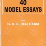 40 MODEL ESSAYS
