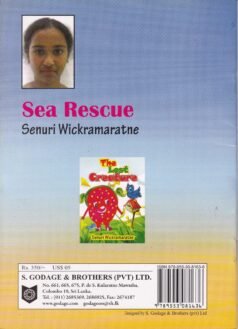 Sea Rescue