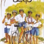 විසි අට - Visi Ata