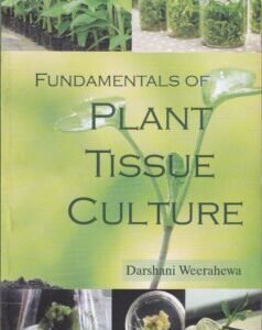 Fundamentals of Plant Tissue Culture