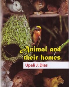 Animal and their homes