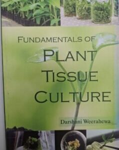 Fundamentals of Plant Tissue Culture
