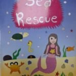 Sea Rescue