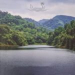 KERALA CALLING: Journeys Through Water, Work and Wonder