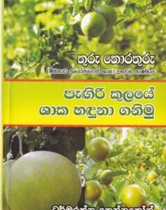 තුරු තොරතුරු දහවන කාණ්ඩය: පැඟිරි කුලයේ ශාක හඳුනා ගනිමු - Thuru Thorathuru Dahawana Kaandaya