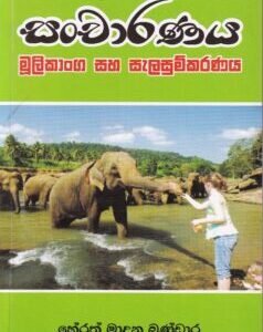 සංචාරණය: මූලිකාංග සහ සැලසුම්කරණය - Sancharanaya: Moolikaanga saha Saleasumkaranaya