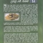 කුරුඳු වගාව - Kurudu Wagawa