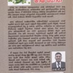 පෝෂ්‍යදායී මාෂ බෝග - Poshayadaayee Maasha Boga